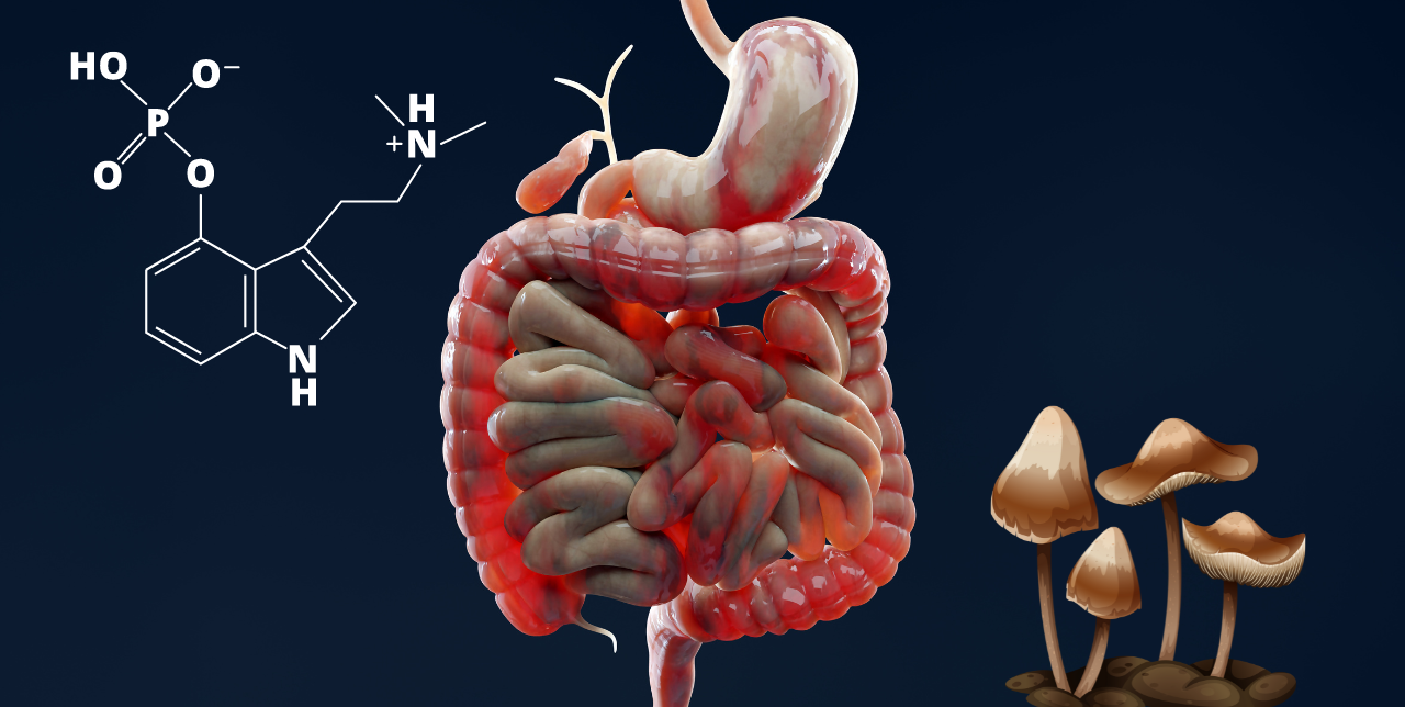 psilocybin and digestion